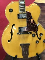 Antaria Hollow Body Electric Guitar Sarum Guitars Salisbury Wilts 02 - Clic para agrandar