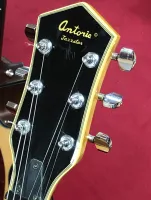 Antaria Hollow Body Electric Guitar Sarum Guitars Salisbury Wilts 01 - Clic para agrandar