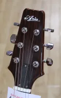 Aria AF-10-CEN Electro Acoustic Guitar Sarum Guitars 02 - Clic para agrandar