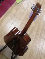 Aria AF-10-CEN Electro Acoustic Guitar Sarum Guitars 01 - Clic para agrandar