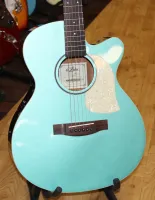 Aria Electro Acoustic Guitar Passive Electrics 03 - Click to enlarge