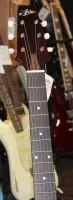Aria Electro Acoustic Guitar Passive Electrics 02 - Click to enlarge