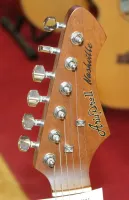 Aria Nashville Telecaster Like Guitar Rosewood Top Silver Scratch Plate Sarum Guitars & Drums Salisbury Wiltshire 02 - Click to enlarge