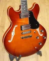 Aria Pro 2 Hollow Body With Centre Block Electric Guitar 02 - Click to enlarge