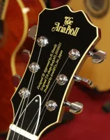 Aria Pro 2 Hollow Body With Centre Block Electric Guitar 03 - Click to enlarge