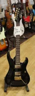 Aria Pro 2 MAC Series Stratocaster Type Electric Guitar
