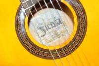 Aria Fiesta Classical Guitar Nylon Strings Inc Bag Sarum Guitars 04 - Cliquer pour agrandir