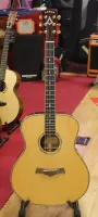 Arrow Acoustic Guitar Sarum Guitars Music Shop Salisbury 05