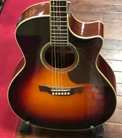 Crafter Electro Acoustic Guitar Sarum Guitars Salisbury 04 - Click to enlarge