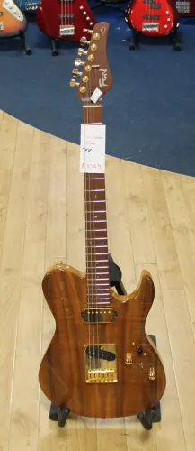 FGN Fujigen Telecaster Type Electric Guitar Gold Hardware Sarum Guitars & Drums 03