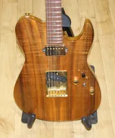 FGN Fujigen Telecaster Type Electric Guitar Gold Hardware Sarum Guitars & Drums 02 - Click to enlarge