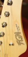 FGN Fujigen Telecaster Style Blue Electric Guitar 01 - Click to enlarge
