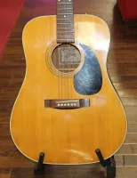 Syain Acoustic Guitar Y-V 12 Sarum Guitars Salisbury 02 - Clic para agrandar