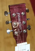 Tanglewood Azure Premium Plus Electro Acoustic Guitar Sarum Guitars & Drums Salisbury Wiltshire 03 - לחץ להגדלה