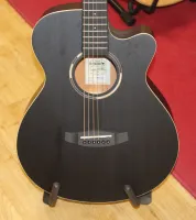 Tanglewood blackbird electro acoustic guitar for sale sarum guitars and drums salisbury music shop sp1 1el - Click to enlarge