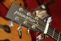 Tanglewood blackbird electro acoustic guitar sarum guitars and drums stockists of tanglewood acoustic guitars - Click to enlarge