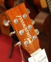 Tanglewood DBTPE SBG Inc Case Elecro Acoustic Guitar 02 - Klikk for å forstørre