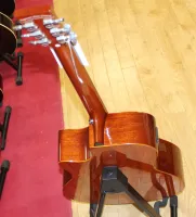 Tanglewood DBTPE SBG Inc Case Elecro Acoustic Guitar 01 - Klikk for å forstørre