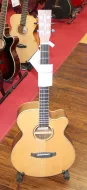 Tanglewood DBTS FCEBW Electro Acoustic Guitar Sarum Guitars & Drums Salisbury Wiltshire 05