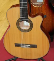 Tanglewood Nylon Strung Electro Acoustic Guitar Slim Body 04 - Click to enlarge