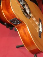 Tanglewood Nylon Strung Electro Acoustic Guitar Slim Body 02 - Click to enlarge