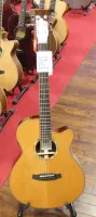 Tanglewood TRS4CE Smart Acoustic Guitar FX Onboard Sarum Guitars Salisbury Wiltshire 05 - Натисніть, щоб збільшити