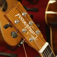 Tanglewood TRX-8 Parlour Electro Acoustic Guitar Sarum Guitars & Drums Salisbury Wiltshire 03 - Click to enlarge