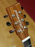 Tanglewood TRX 4CE Electro Acoustic Guitar Sarum Guitars & Drums Salisbury Wiltshire 02 - Clic para agrandar