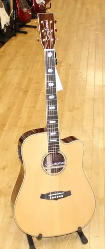 Tanglewood TW1000 HSR CE Electro Acoustic Rosewood Open Tuners 09