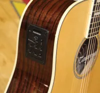 Tanglewood TW1000 HSR CE Electro Acoustic Rosewood Open Tuners 07 - Click to enlarge