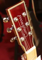 Tanglewood TW4BLB CE Electro Acoustic Guitar 03 - Clic para agrandar