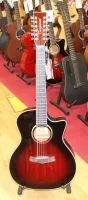 Tanglewood Winterleaf 12 String Electro Acoustic Guitar 05