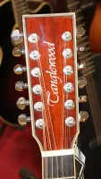 Tanglewood Winterleaf 12 String Electro Acoustic Guitar 03 - Click to enlarge