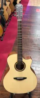 Veelah V3 Series Guitar - Electro Acoustic GA With Cutaway Solid Top - Natural Spruce Veelah Luxury Padded Gig Bag 01